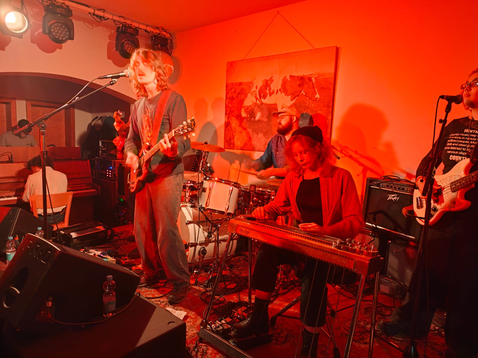 BrownHorse2025-10-31HaldernPopBarGermany (6).jpg